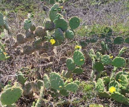 EL Tours-奥腊涅斯塔德必去景点