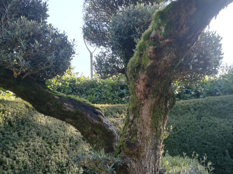 Fondazione Paolo & Carolina Zani-Cellatica必去景点