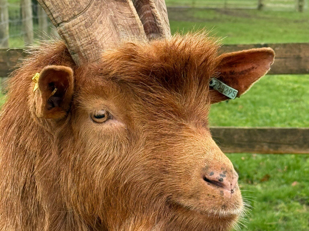 科茨沃尔德农场公园-Kineton必去景点