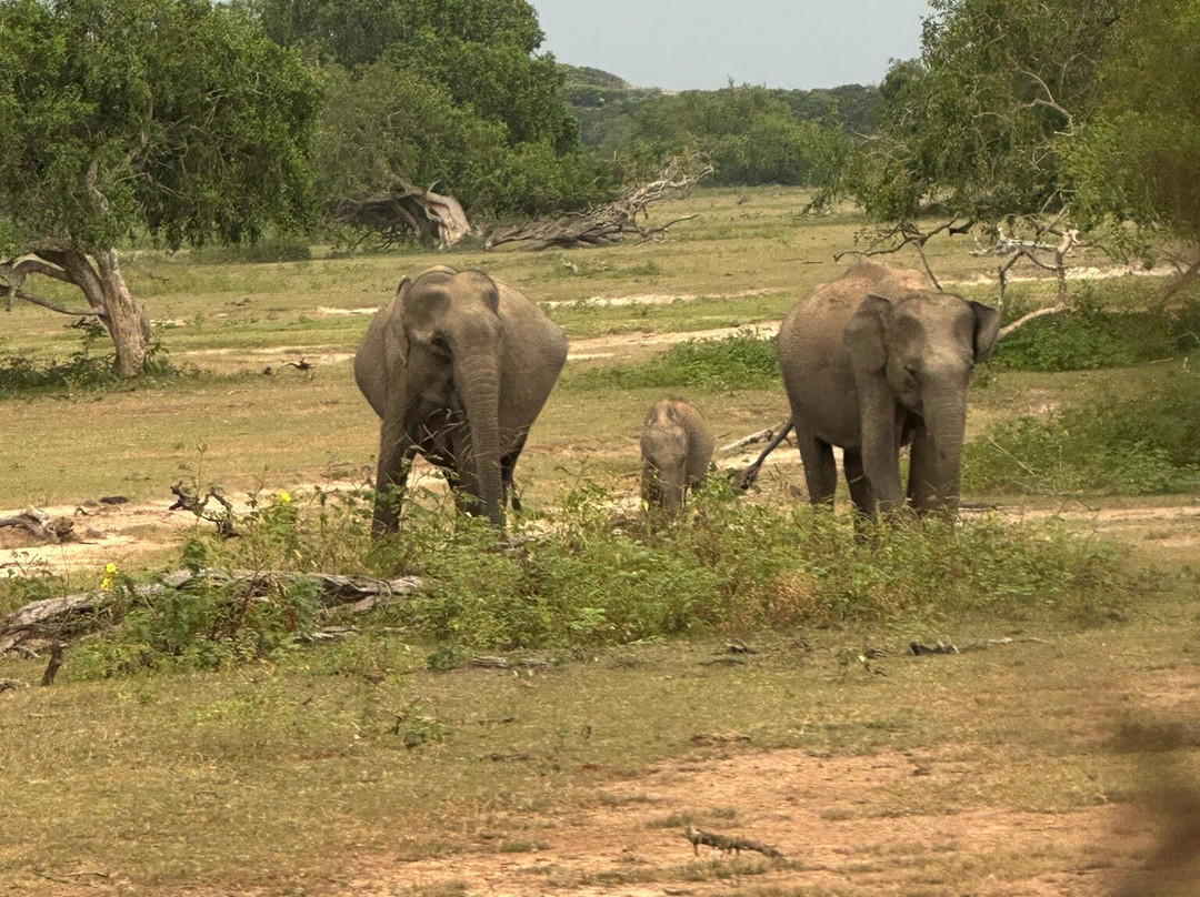 Moon Lanka Tours-希克杜沃必去景点