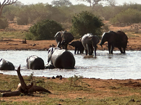 Malik Safari-马林地必去景点