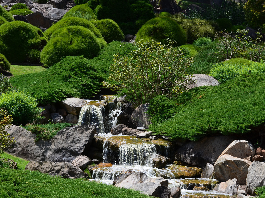 Cowra Japanese Garden & Cultural Centre-考兰必去景点