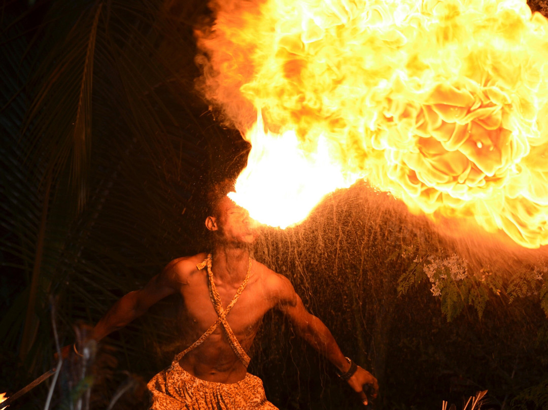 VIP Premium Desert Safari with quad bike and sand boarding