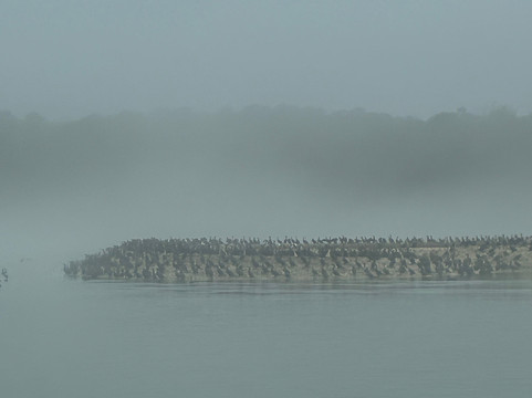 Hurricane Fishing Fleet-Calabash必去景点