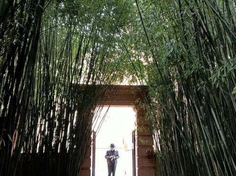 Labirinto Della Masone-丰塔内拉托必去景点