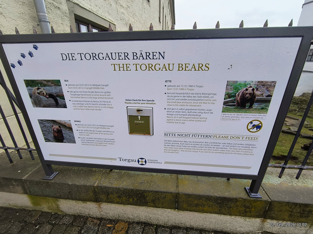 Schloss Hartenfels-Torgau必去景点