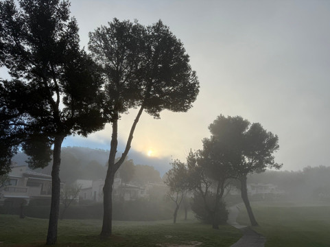 Golf Club Santa Ponsa-卡尔维亚必去景点