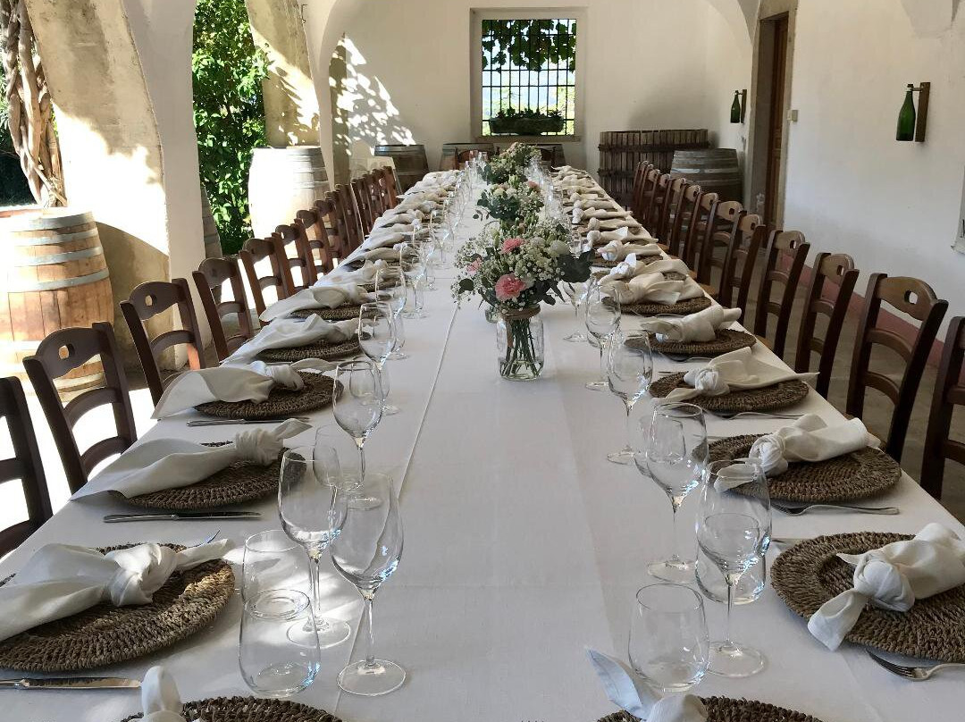 Azienda Agricola La Torre-Mocasina必去景点