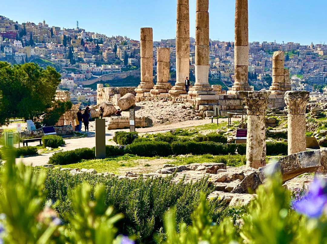 Jordan Day Tour and More - Day Tours-安曼必去景点