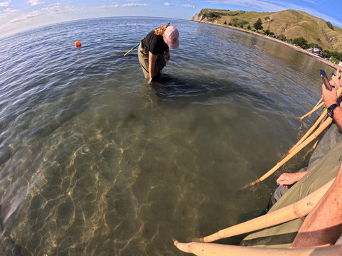 Dive Tatapouri-Gisborne Region必去景点
