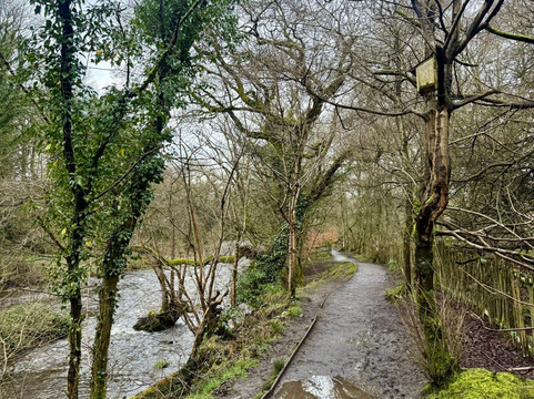 Millenium Walkway-New Mills必去景点
