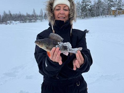 Lupland Adventures-Ranua必去景点