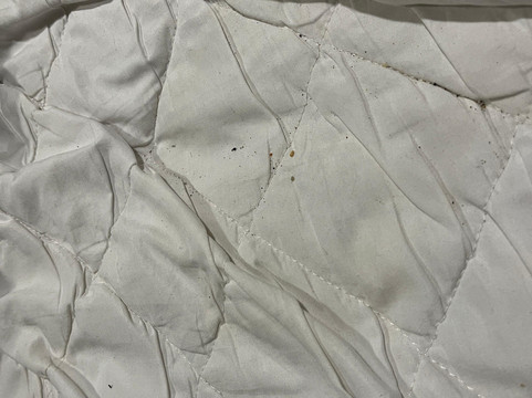 The Lindsey B & B主图