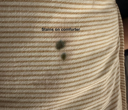 沙漠温泉旅馆主图