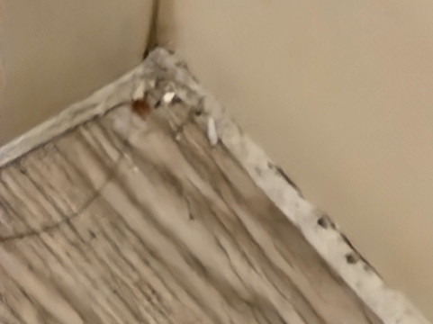 迈阿密国际机场温德姆花园酒店主图