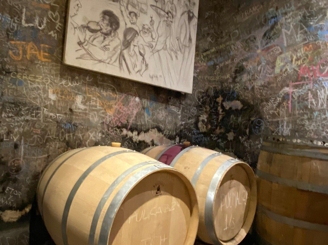 SAK Wine & Travel-门多萨必去景点