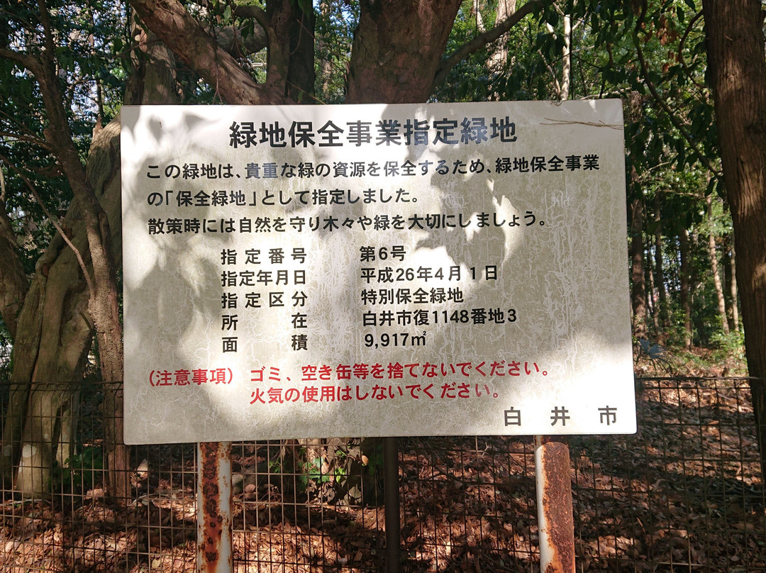 Shiroi Park Complex-白井市必去景点