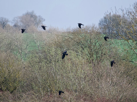 Bobbingworth Nature Reserve-Moreton必去景点