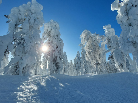 Safartica Yllas-Yllasjarvi必去景点