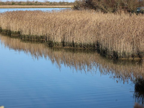 Casoni di Caorle-卡奥莱必去景点