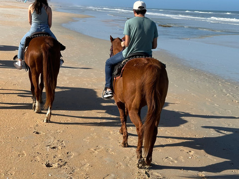 Equestrian Adventures of Florida-代托纳比奇必去景点