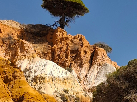 Cliff Boardwalk and Pathway