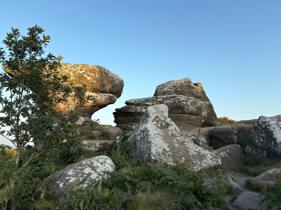 Brimham Rocks-哈罗盖特必去景点