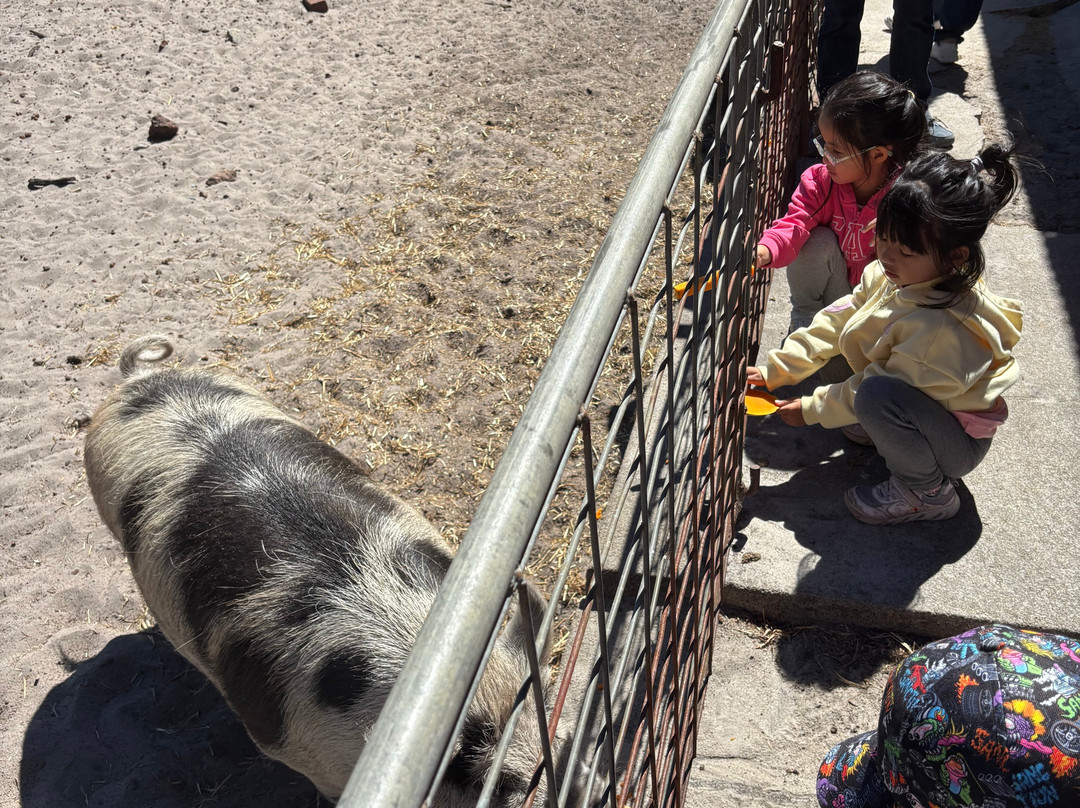 Scoops Farm-玛格丽特河必去景点
