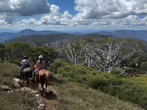 Watson's Mountain Country Trail Rides - Day Tours-曼斯菲尔德必去景点
