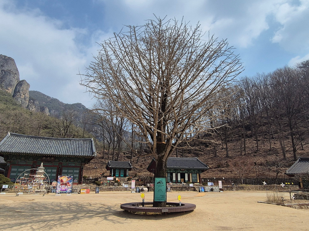Juwangsan Daejeonsa Temple-青松郡必去景点