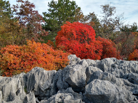 Sentiero Rilke-Duino必去景点