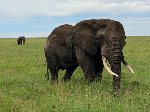 Tanzania Roadside Expeditions-阿鲁沙必去景点