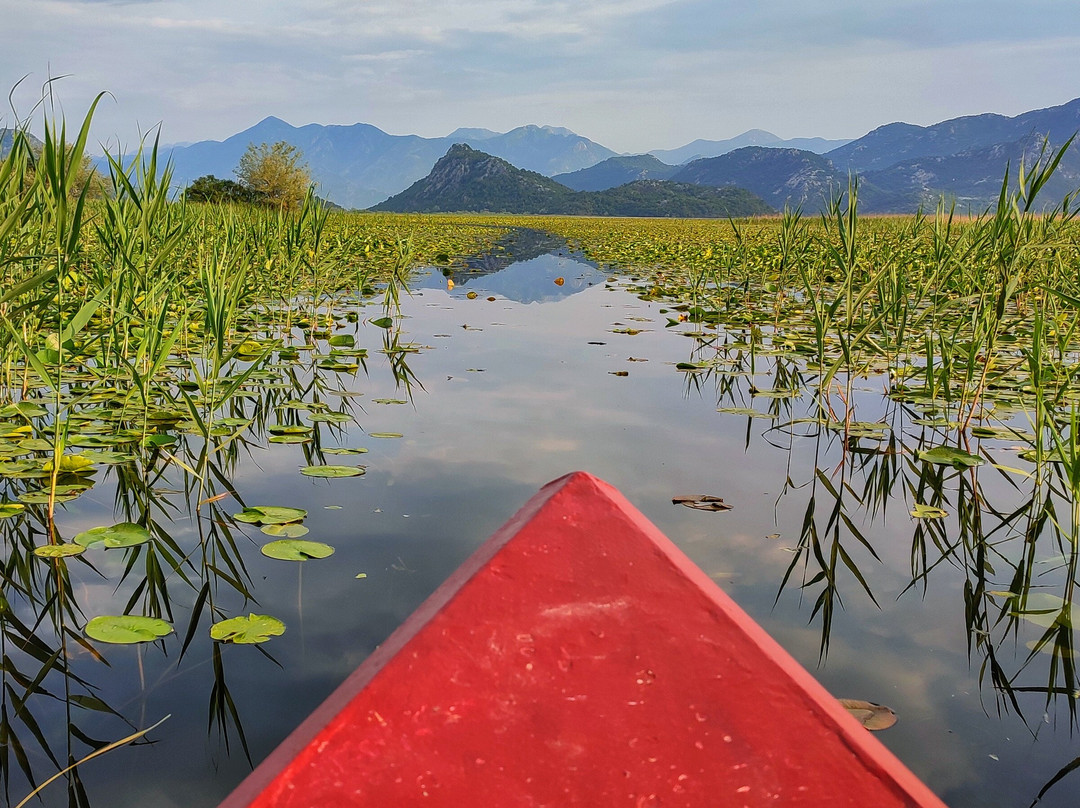 Skadar Lake - Boat Cruise Milena-维尔巴札拉必去景点
