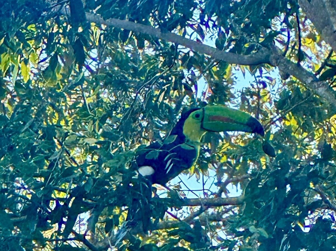 Genuine Costa Rica-Playas del Coco必去景点
