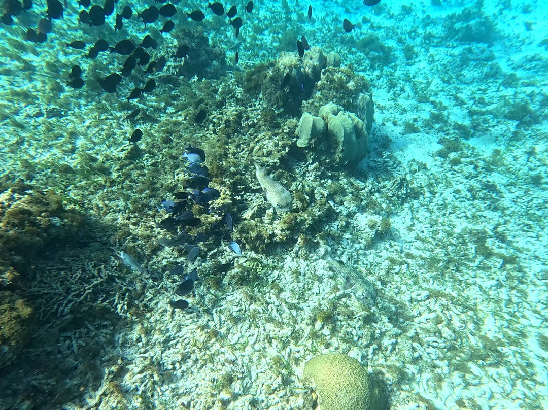 Caribe Extremo-圣安德烈斯必去景点