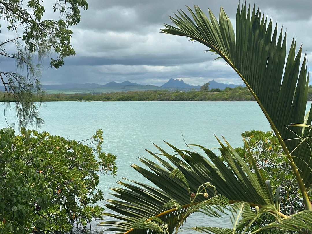 Sea Kayak Adventures-毛里求斯必去景点