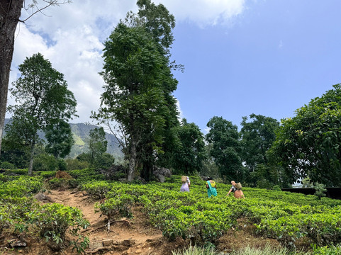 Shan Lanka Tours - Travel with Rukmal-Marawila必去景点