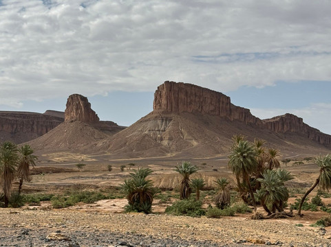 Desert Maroc Tours - Day Tours-扎古拉必去景点