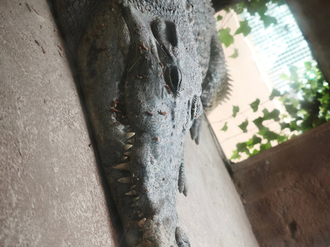 Safari Zoo Mallorca-萨可马必去景点