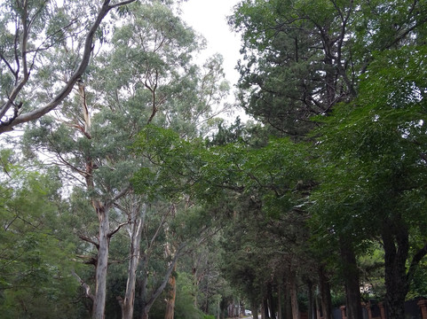 Pasos Malos, Circuito de Merlo-梅洛必去景点