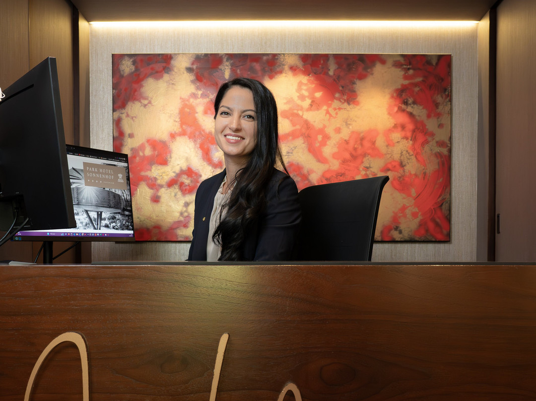 松嫩霍夫公园酒店主图