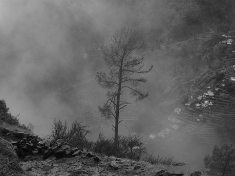 Madeira Wonder Hikes-沙尔必去景点