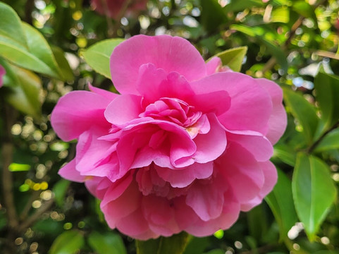 Herstmonceux Castle-Hailsham必去景点