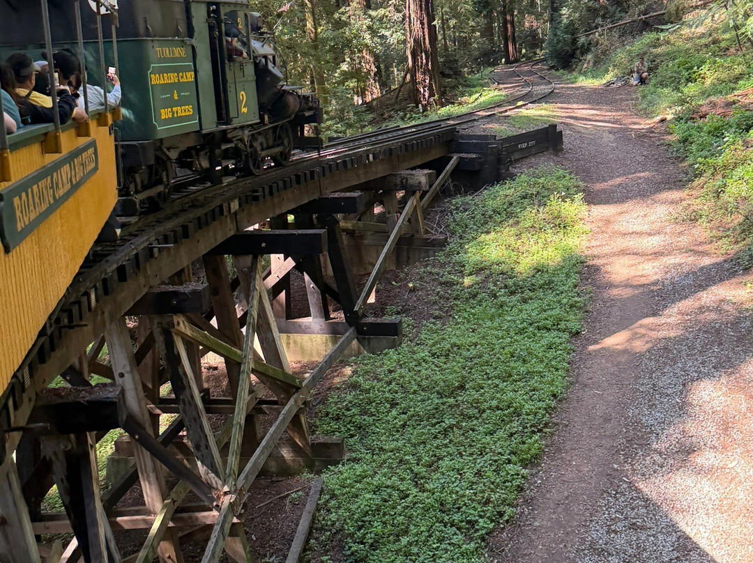 Roaring Camp Railroads-圣克鲁斯必去景点