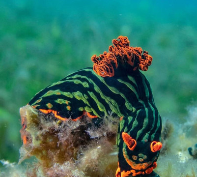 Euro Vietnam Diving-Viry-Chatillon必去景点