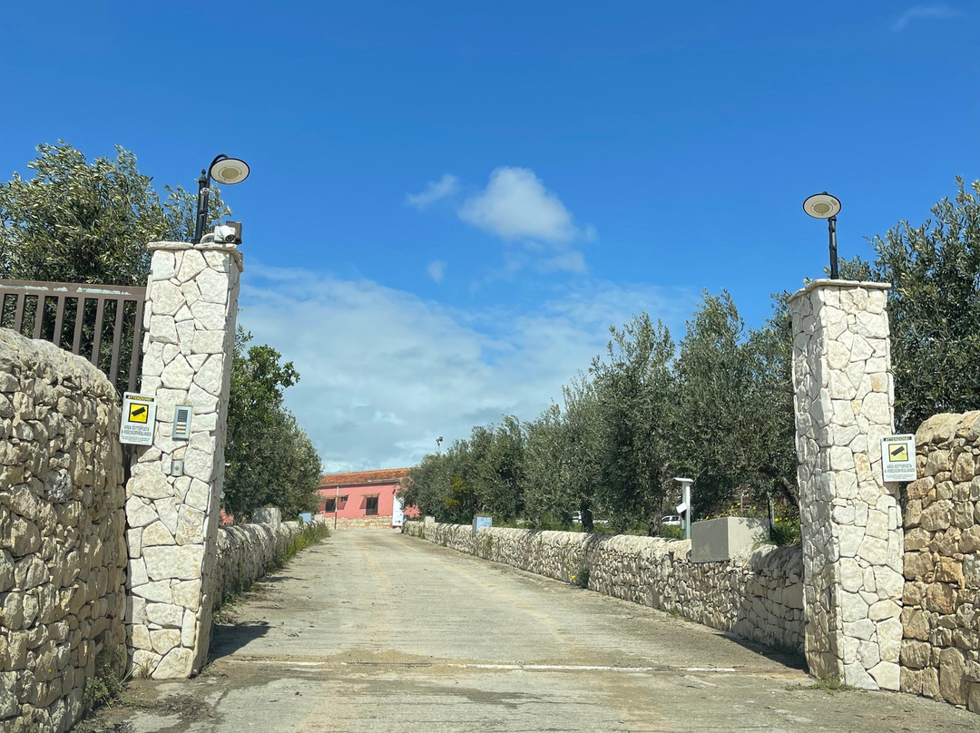 Terre di Noto - Vigneti e Cantine-诺托必去景点
