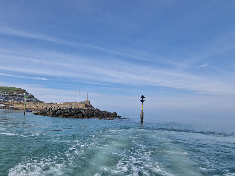 Dolphin Spotting Boat Trips (by New Quay Boat Trips)-纽基必去景点