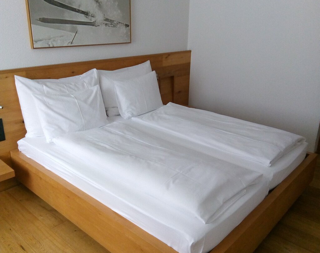 阿罗萨沃德酒店主图