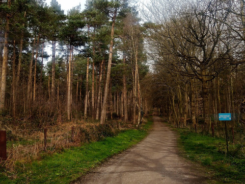 格莱斯顿图书馆酒店主图