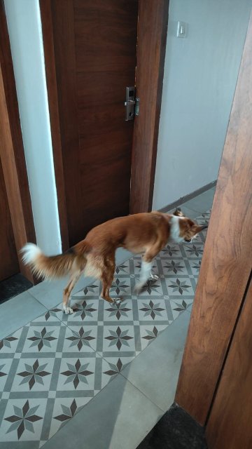 派拉蒙河滨水疗度假村-官方